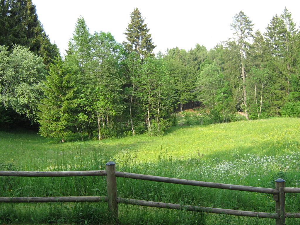 Chalet La Montagnola Villa Borgo Valsugana Ngoại thất bức ảnh